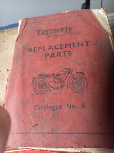 Triumph tiger cub replacement - cub,