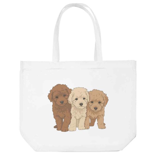 Nice poodles puppies - poodles, puppies'