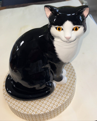 Just cats large sitting - co,