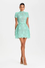 Nadine Merabi Milly Mint Dress