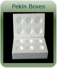20 X 6 HOLE  PEKIN /BANTAMS EGG BOXES HATCHING/INCUBATION CHICKEN