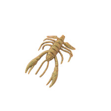 Berkley Gulp Crabby Fishing