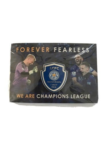 Leicester city pin badge - city,