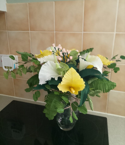 Calla lilies yellow - calla, and