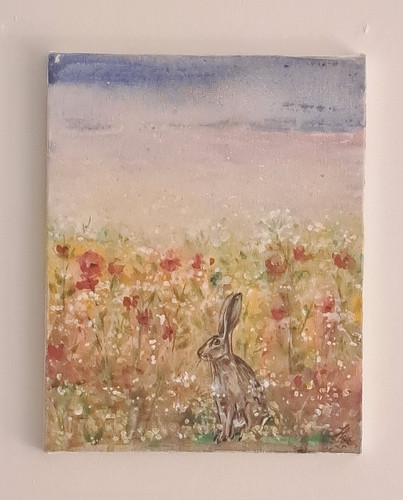 Hare poppy fields - in,