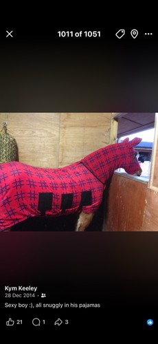 Snuggy hood jams fleece - snuggy,