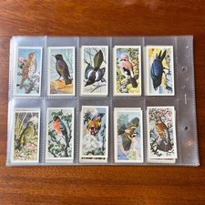 Brooke Bond tea cards Bird Portraits Full Set of 50 In Plastic Sleeves Vgc