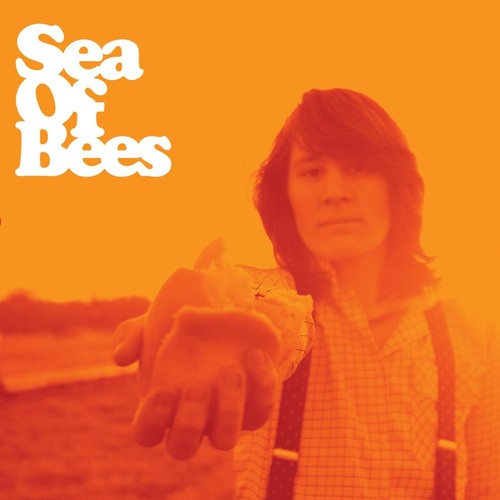 Sea bees orangefarben - of,