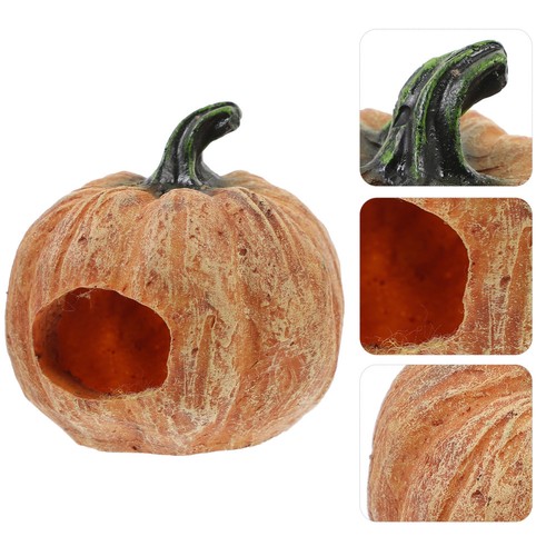 Aquarium decor pumpkin bearded - pumpkin,