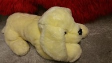 ANDREX LARGE PUPPY VERY CUTE