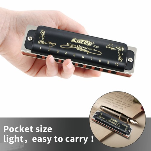 Easttop 10hole diatonic - 10hole,