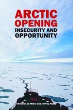 Arctic Opening: Insecurity And