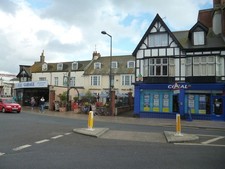 Photo 6x4 Exmouth: Coral