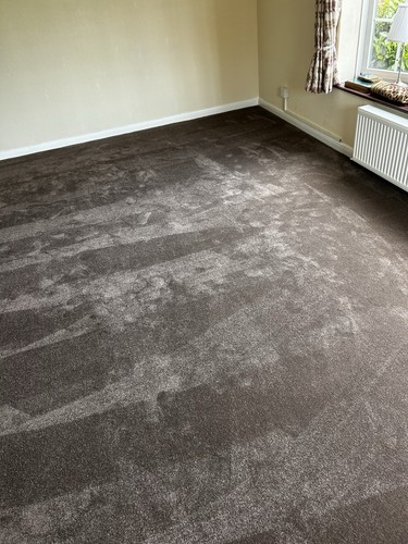 Brand new luxury carpet offcut - new,
