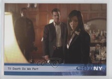 2005 CSI: New York Series 1