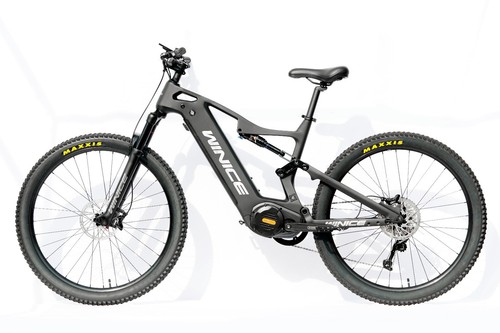 Dengfu e55 carbon - carbon, full