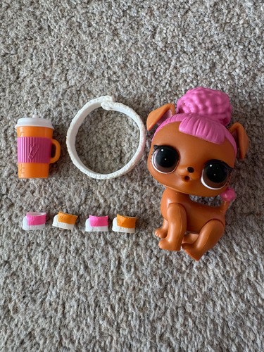 Lol surprise dolls pet - surprise!,