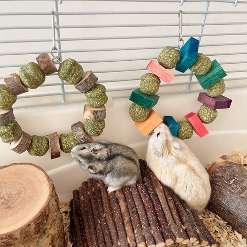 Hamster toy guinea - hamster, pig