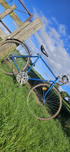 Kalkhoff trident speed - kalkhoff,