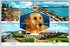 R738570 Eastbourne Dog Beach Pier Lawns Downs Elgate Postcards Ramsgate Thanet P