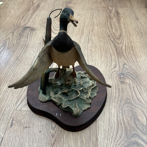 Border fine arts mallard - border, “mallard
