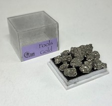 British fossils fools gold - fossils, gold'