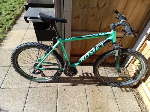 Mountain bike - mountain,