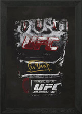 UFC Glove Art Framed Wall Art Poster Canvas Print Picture