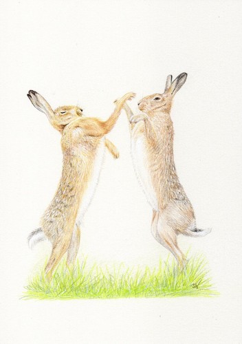 Boxing hares original coloured - hares,