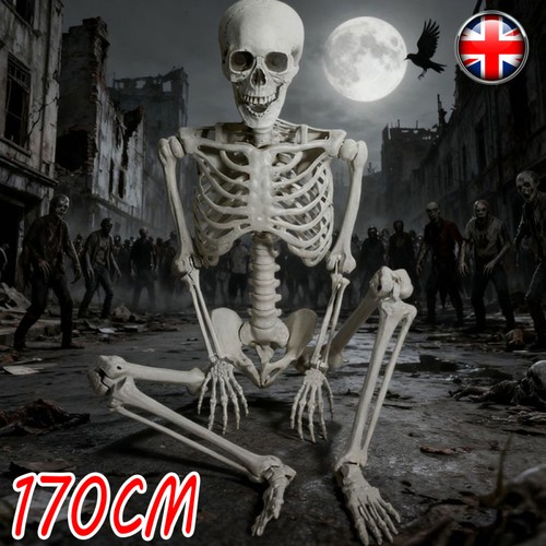 170cm poseable full - poseable,