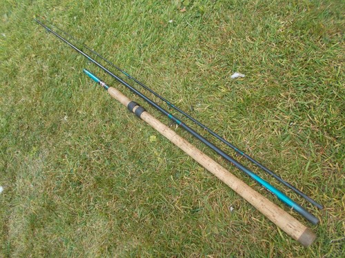 Daiwa jaguar quiver - daiwa, 10ft