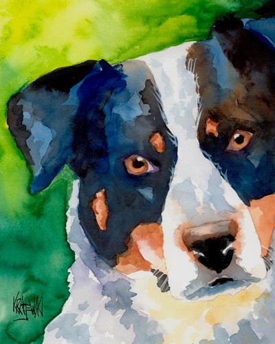 Australian cattledog print - cattledog,