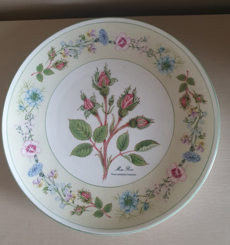 Aynsley wild tudor pattern - aynsley's,