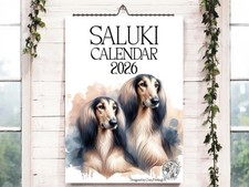 Saluki Calendar 2026-Dog