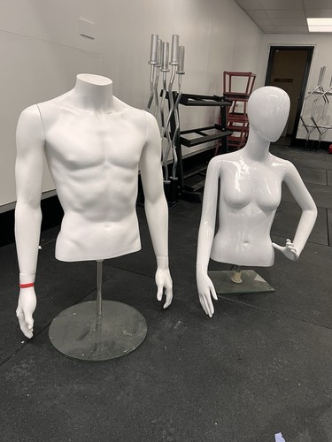 Half body mannequins - mannequins,