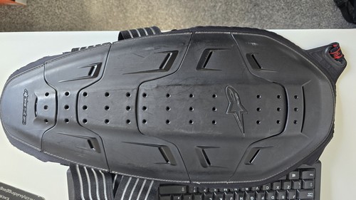 Alpinestars bionic back - bionic,