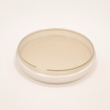 Pre-poured MEYA (Malt Extract Yeast Agar) Agar Petri Dish in 90mm Plate