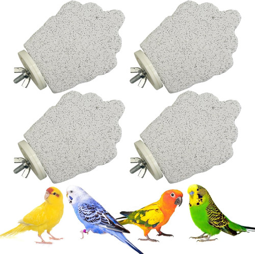 Pcs bird perches calcium - bird,