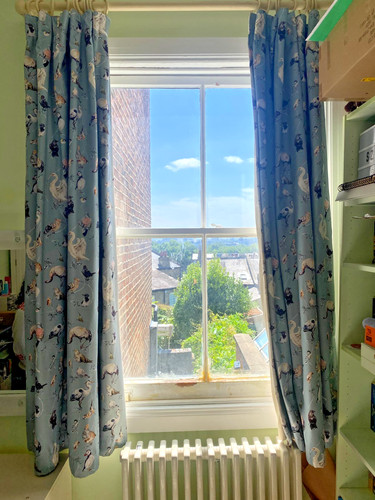 Beautiful house hackney - beautiful,