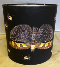 Black Moth and Beetle