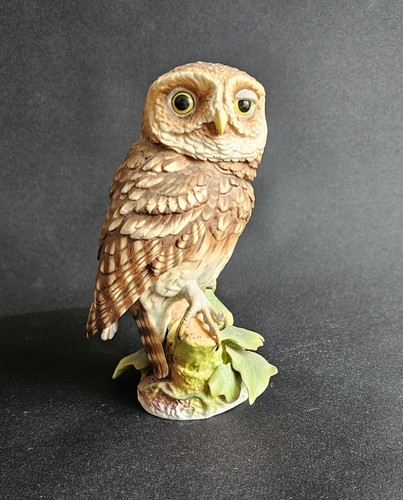 Royal worcester little owl - worcester,