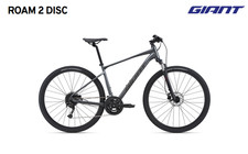 Giant roam disc - giant,