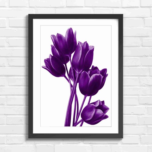 Vibrant pink tulip floral - pink,