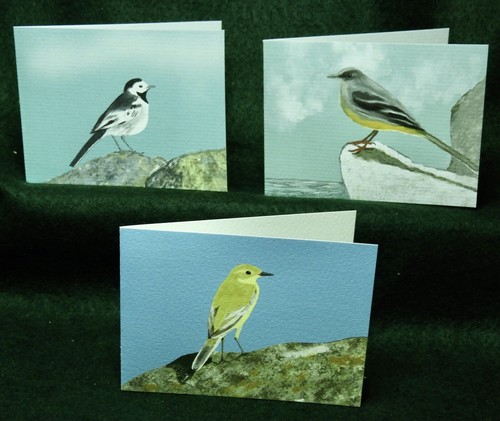 Misterbcards british - 12,