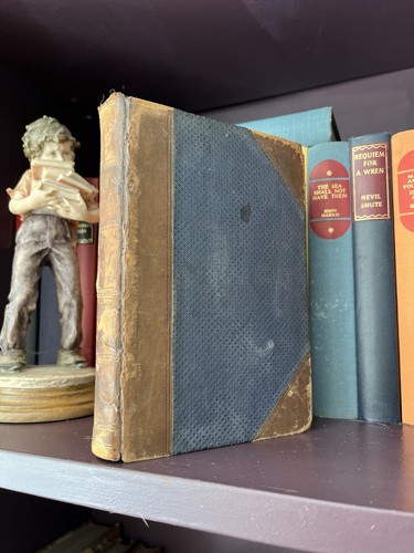 John bull and his island - bull, island,
