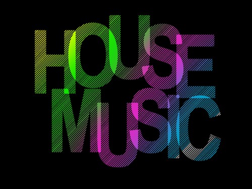 House techno vinyl bundle - house,