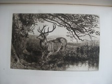 Original etching heywood - original,