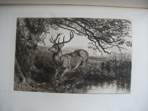 Original etching heywood - etching, by