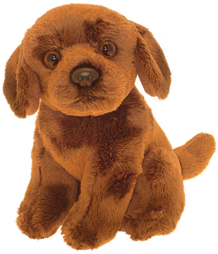Chocolate labrador teddy - chocolate,