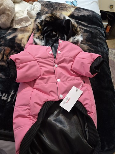 Pink padded dog - padded,